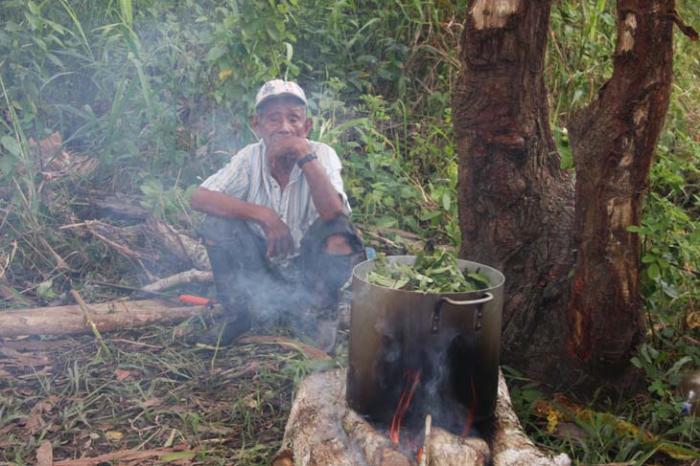 cocina y preparacion de ayahuasca peru magia sexual